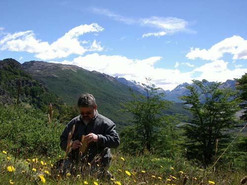 Frederick W. Spiegel