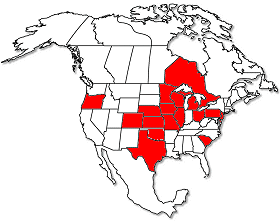 Range of the Classic North American Yellow Morel