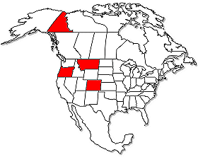 Range of the Fuzzy Foot Morel