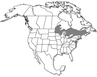 Range of Pinus resinosa