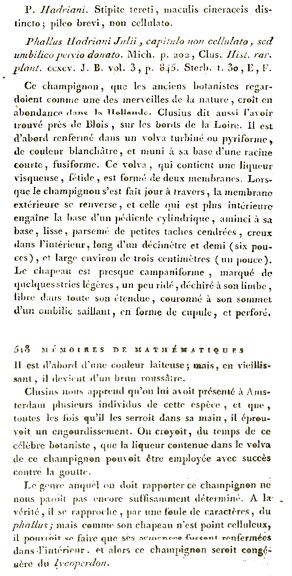 Ventenat 1798 Phallus hadriani protologue