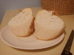 Hericium erinaceus