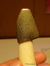 Phallus ravenelii